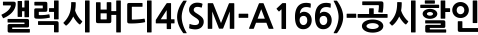 갤럭시버디4(SM-A166)-공시할인